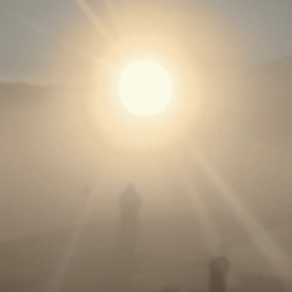 Florian TM Zeisig -  A New Life (LP)