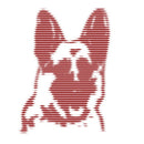 Scott Fraser - Expanded (LP)