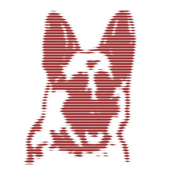 Scott Fraser - Expanded (LP)