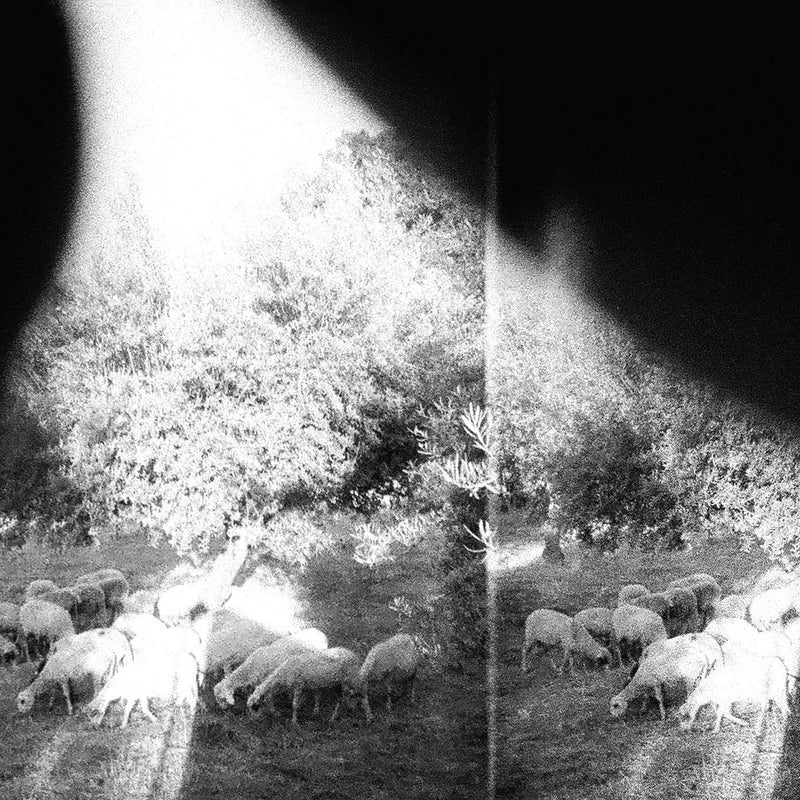 Godspeed You! Black Emperor - Asunder, Sweet and Other Distress (LP)