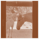 J.WLSN & Liam Keenan - Country/The Country (CD)