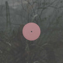 Alien D - For the Early Hours of a World in Bloom (LP)