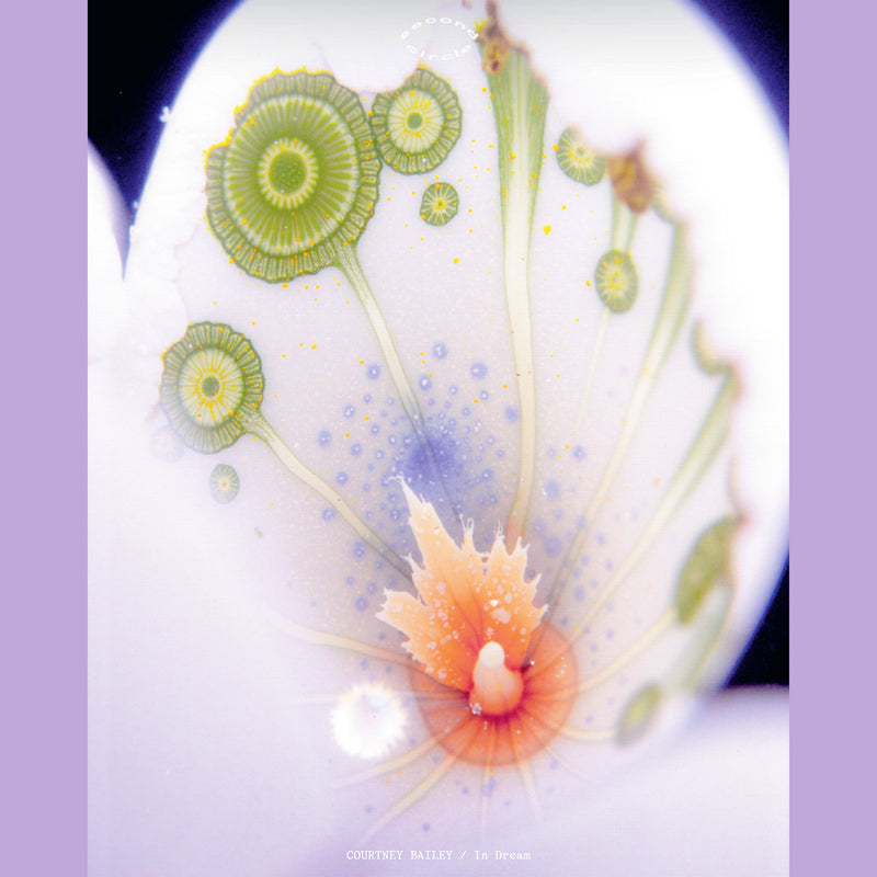 Courtney Bailey -  In Dream (LP)