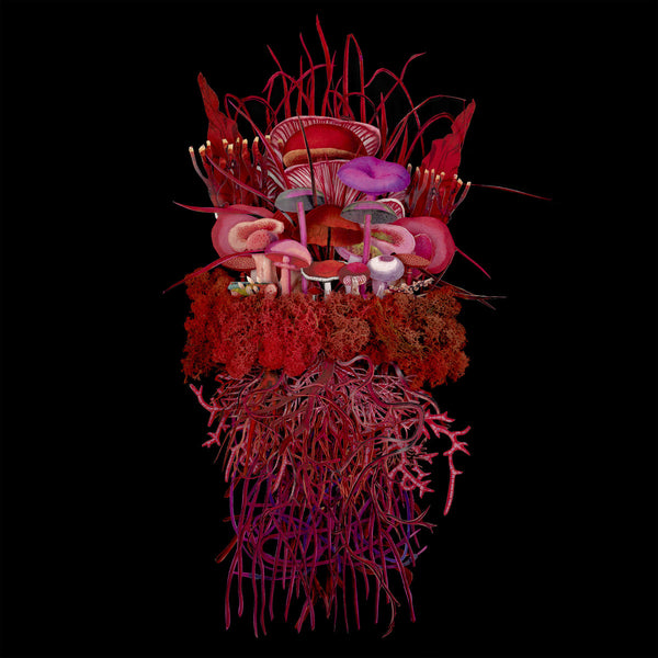 Brian D'Souza, Or:la - Mycorrhizal Fungi (Scractch'n'Sniff Red Vinyl LP)