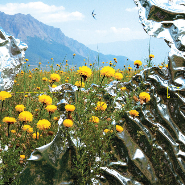 N Kramer & Magnus Bang Olsen - Pastoral Blend (LP)