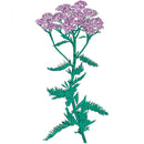 Patricia Wolf - Music To Watch Seeds Grow By 009: Patricia Wolf (Yarrow)  (CS)