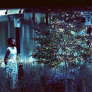 JJJJJerome Ellis -  Vesper Sparrow (LP)