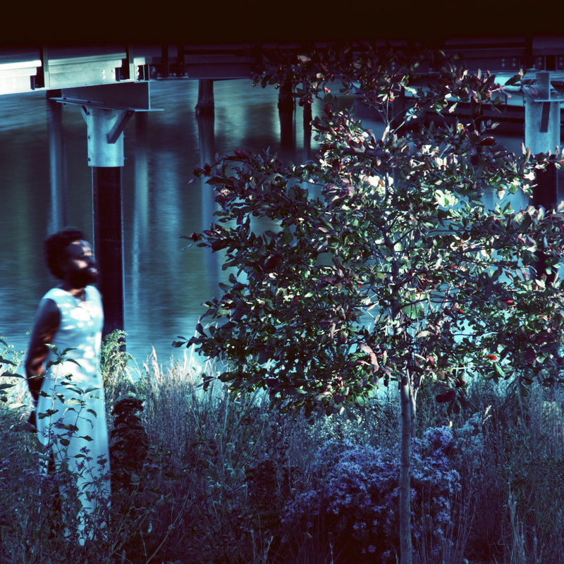 JJJJJerome Ellis -  Vesper Sparrow (LP)