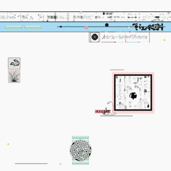 Sebastiano Carghini - Ramble (LP)