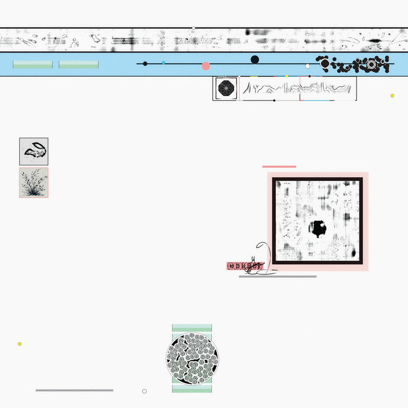 Sebastiano Carghini - Ramble (LP)