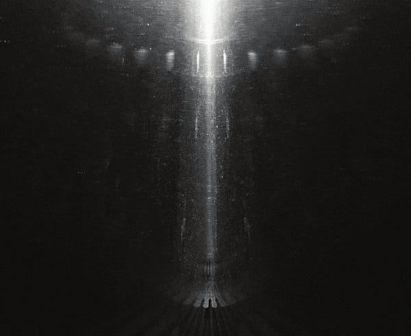 Merzbow -  Torus (LP)