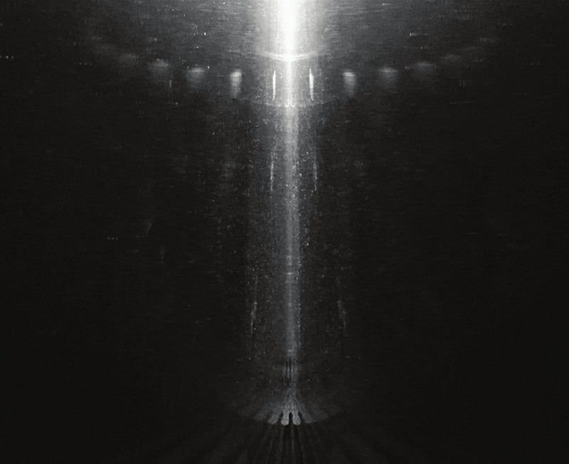 Merzbow -  Torus (LP)