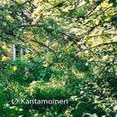 Mika Vainio - Kantamoinen (2LP)