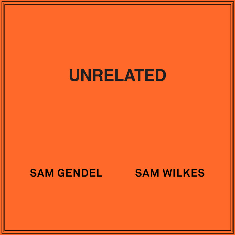 Sam Gendel Sam Wilkes vinyl レコード Sam Gendel & Sam Wilkes - UNRELATED (LP) – Meditations