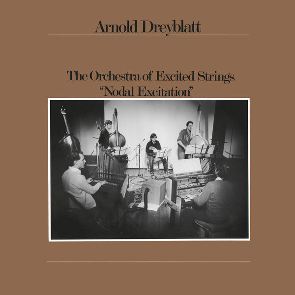 Arnold Dreyblatt - Nodal Excitation (LP)