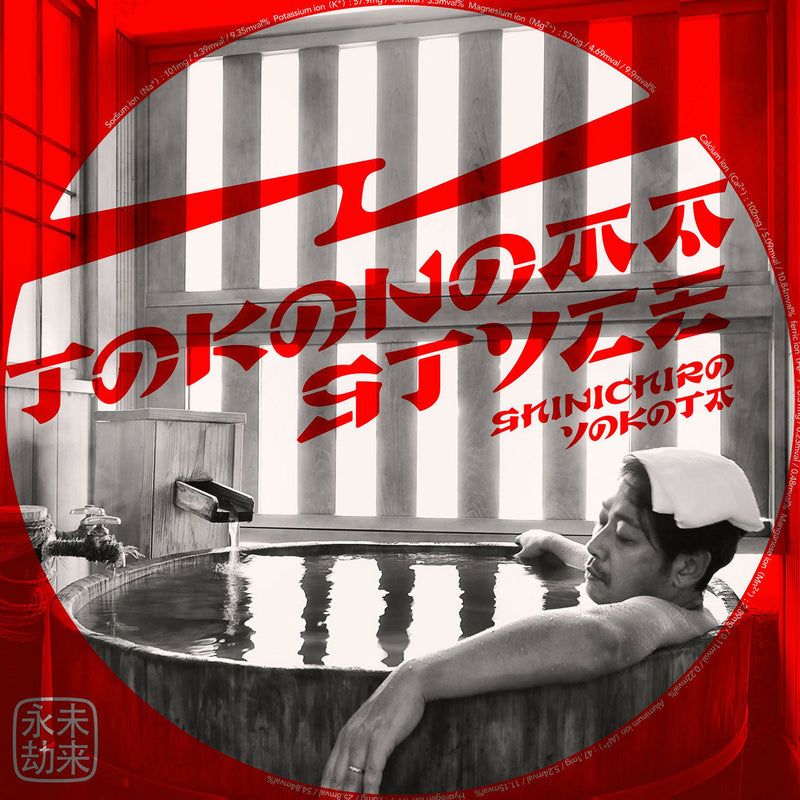 Shinichiro Yokota - Tokonoma Style (2x12")