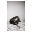 Julia Holter - Materia (LP)