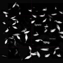 Ignatz - I Don't Know (LP)