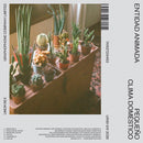 Entidad Animada - Pequeño clima doméstico (CS)