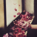 Petre Inspirescu - Vîntul Prin Salcii (CD)