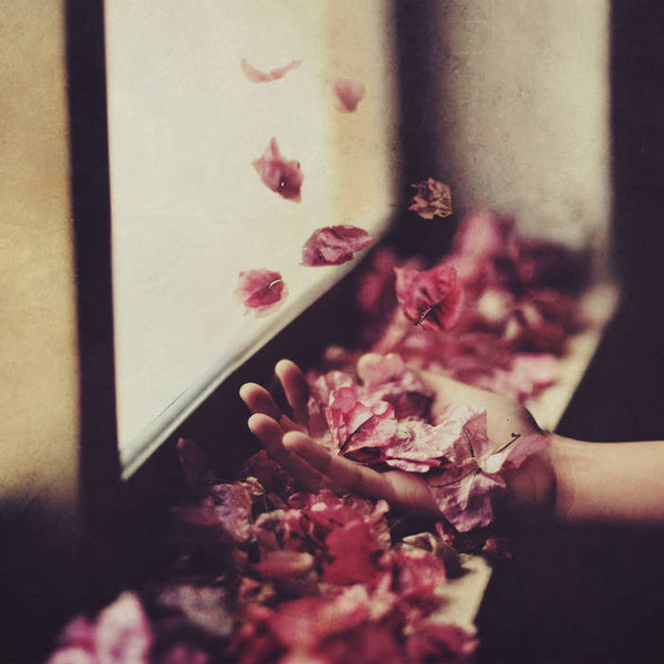 Petre Inspirescu - Vîntul Prin Salcii (CD)