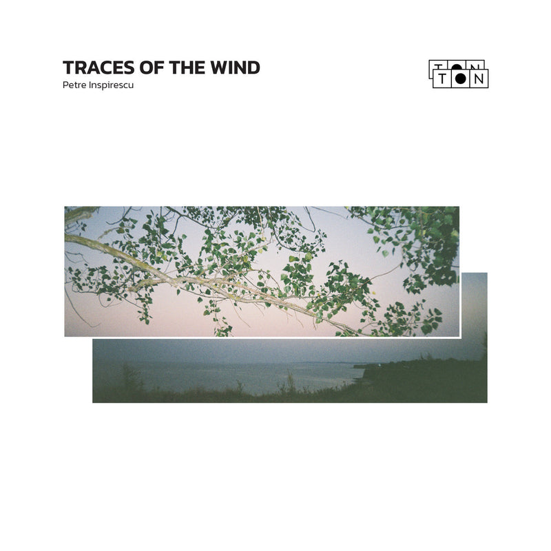 Petre Inspirescu -  Traces of the wind (2LP)
