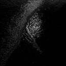 Gigi Masin -  Implodendo in una accecante oscurità Pt. 2 (Clear Vinyl LP)