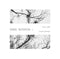 Satoshi Ashikawa - Still Way (Wave Notation 2) (LP)