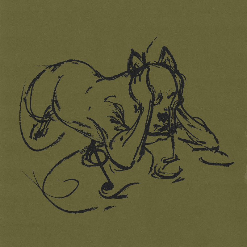 Trailcam - Drumlin Loop (CD)