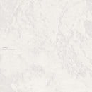 Ultrafog - A Replica Screams (12")