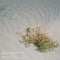Belacqua - Sand & Coppers (CD)