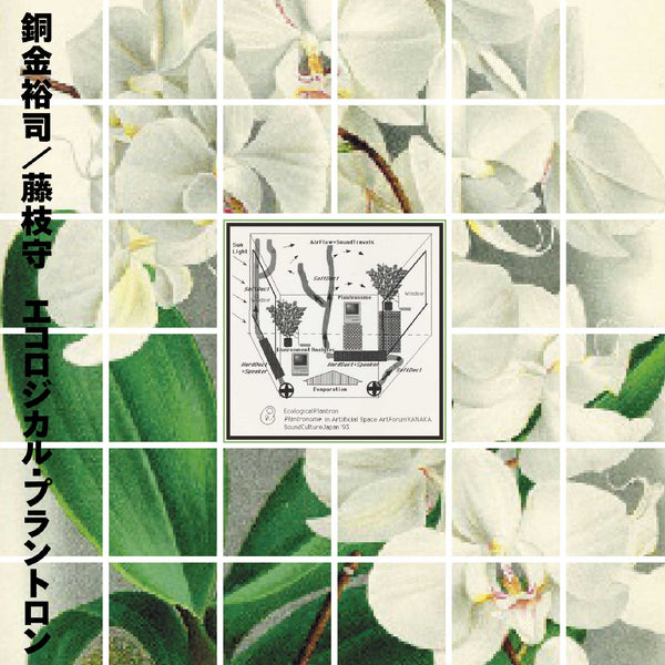 銅金裕司 / 藤枝守 - エコロジカル・プラントロン (LP)