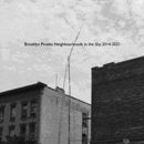 David Goren - Brooklyn Pirates: Neighbourhoods in the Sky, 2014-2021 (CS)