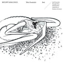 Shin Sasakubo - Mount Analogue (LP)