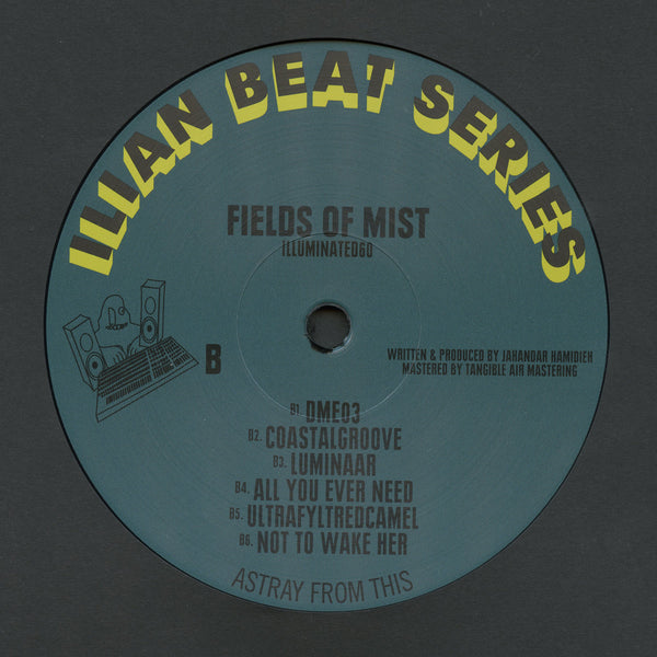 Fields Of Mist - Illuminated60 (12")