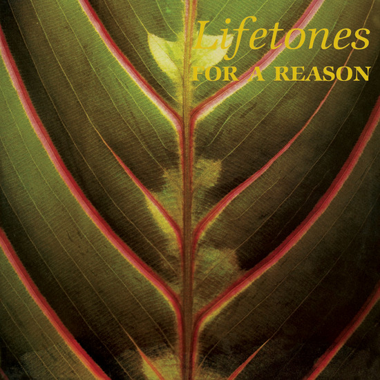 Lifetones - For A Reason (LP)