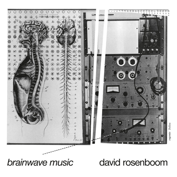 David Rosenboom - Brainwave Music = 脳波の音楽 (2LP) – Meditations