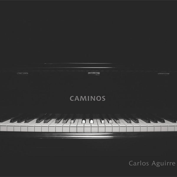 洋楽 Carlos Aguirre / CAMINOS Carlos Aguirre - Caminos (LP) – Meditations