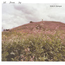 Emily A. Sprague - Hill, Flower, Fog (LP+DL)
