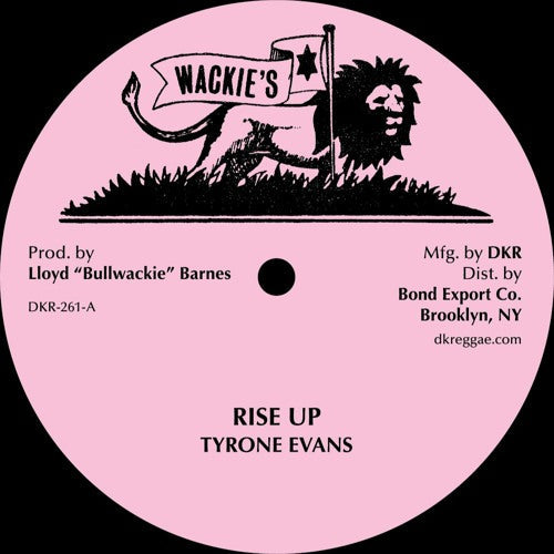 Tyrone Evans - Rise Up (12")